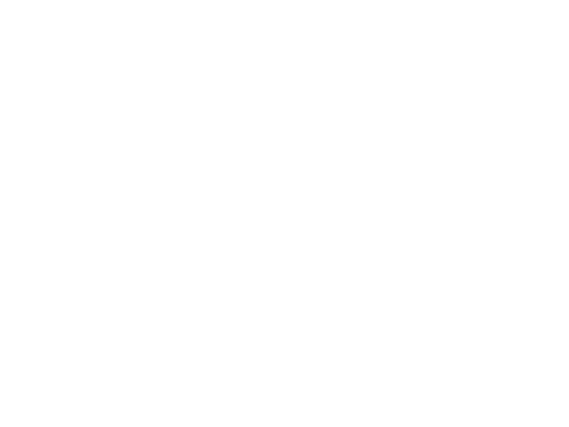 our vision