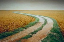 15-NOVEMBER-2024 - EMBRACING CHANGE - THE UNEXPECTED LIFE TWISTS