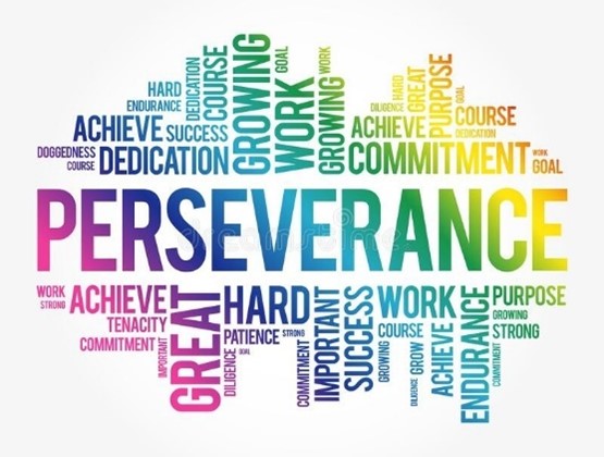 05-NOVEMBER-2024 - PERSEVERANCE THE STAYING FACTOR