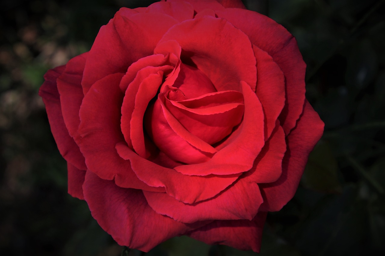 24-APRIL-2025 - CHOOSING JOY IN A NEGATIVE WORLD
