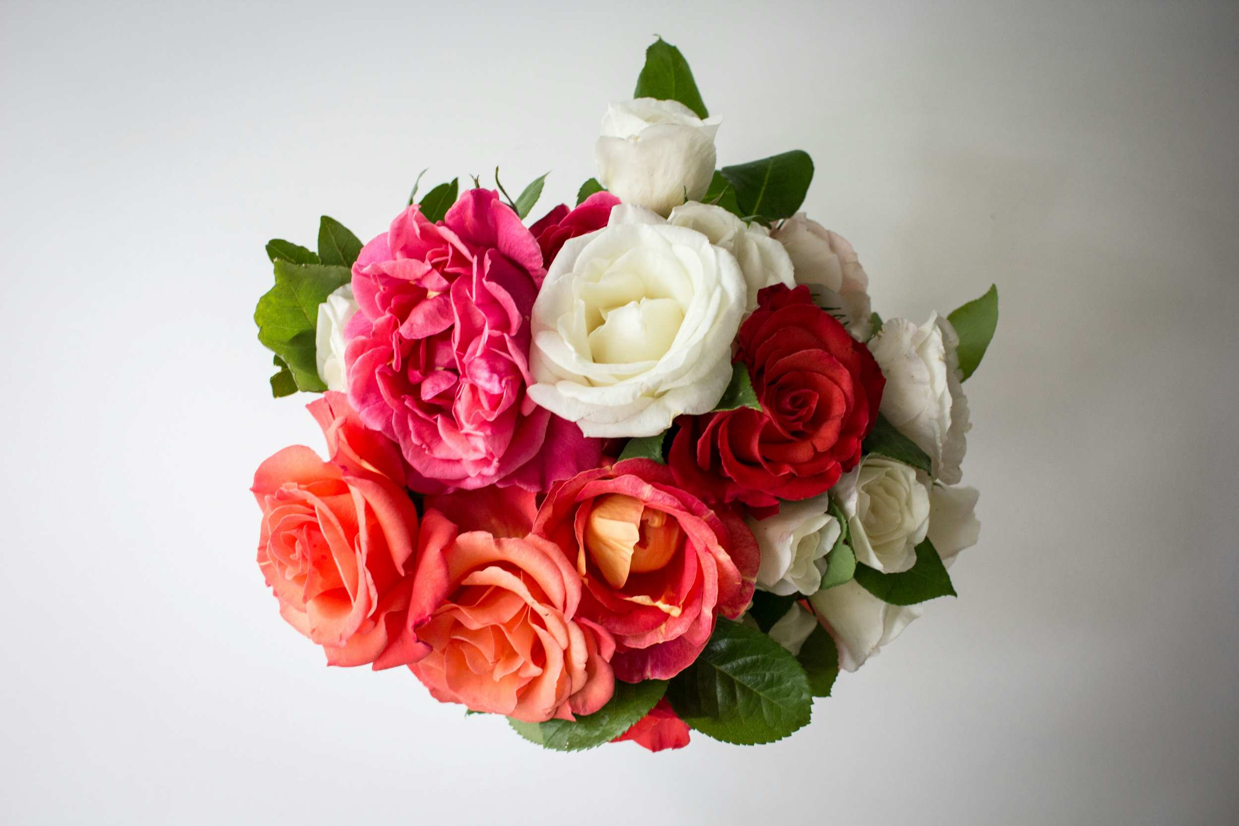 27-AUGUST-2024 - SMELL THE ROSES